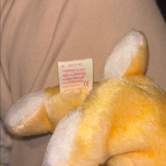 Grace the Praying Rabbit - Picture 6 of 6